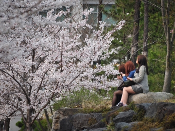 창신대학교 봄전경 사진공모전