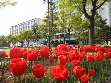 창신대학교 봄전경 사진공모전