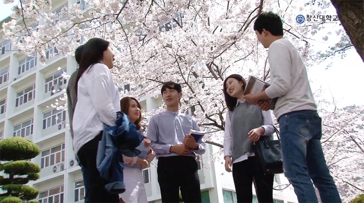 2016_창신대학교_교내_벚꽃.jpg