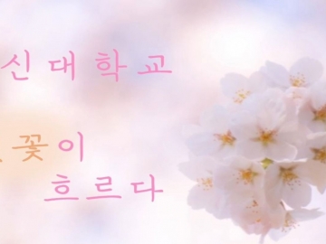 창신대학교 벚꽂이 흐르다